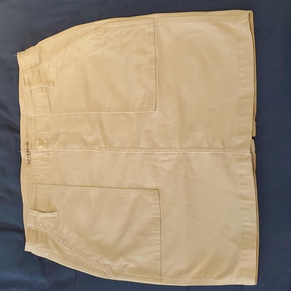 Skirt, Liverpool brand, size 8/29, tan color